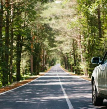 Deutscher Führerschein in England: Anerkennung & Umtausch german license in UK, drive in england with german license