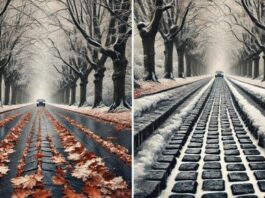 What are the special conditions when driving along tree-lined avenues in the cold season